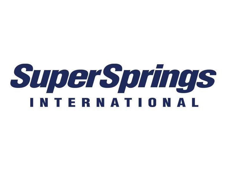 SSI logo
