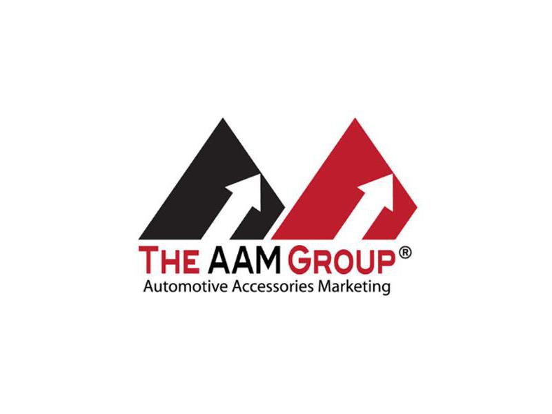 The AAM Group logo