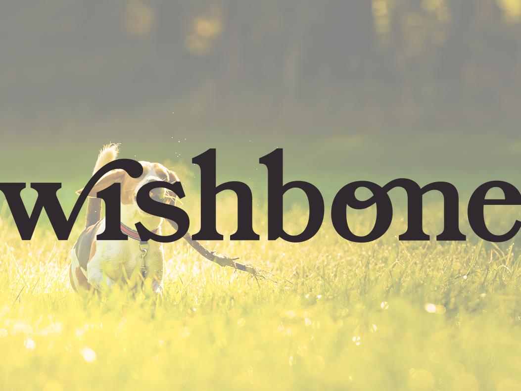 Wishbone